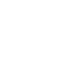 Throwing knives